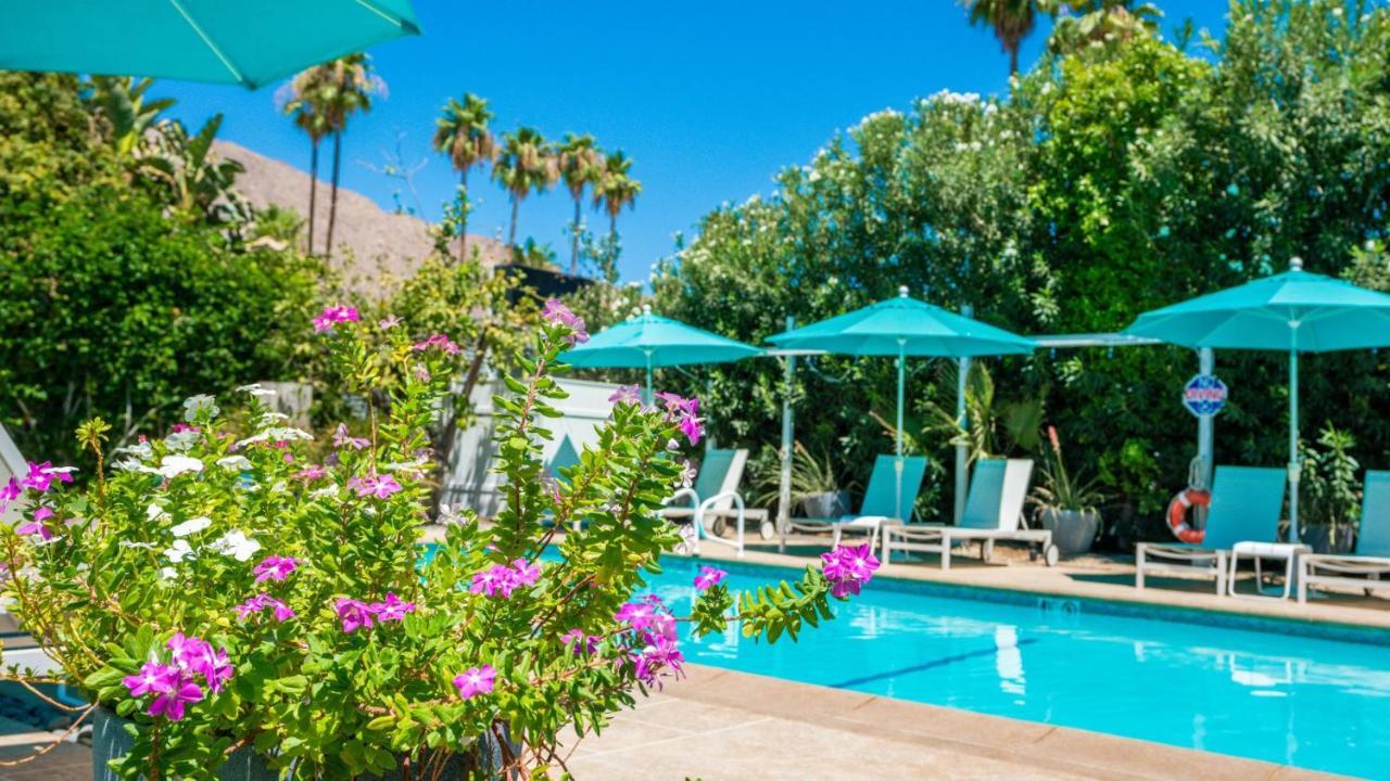 Hotel Bellevue Oasis - Adults Only 2*